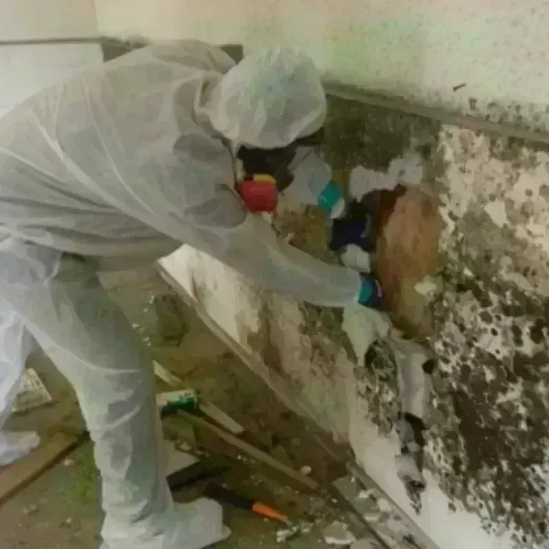 Mold Remediation and Removal in Strasburg, OH